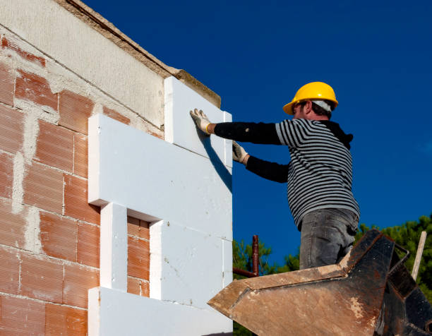 Best Insulation Maintenance and Repair in Michigan City, IN