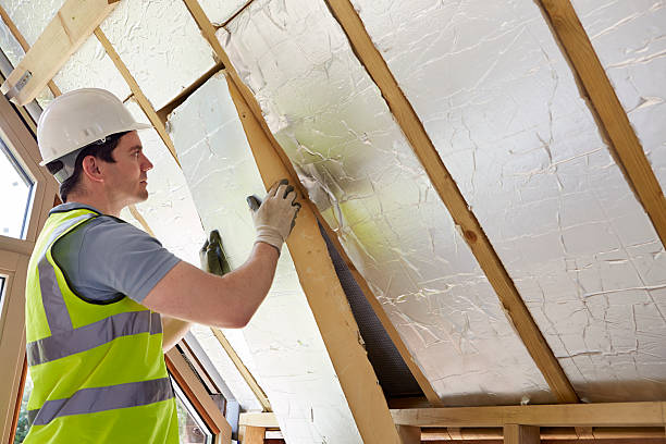 Best Specialized Insulation Services in Michigan City, IN