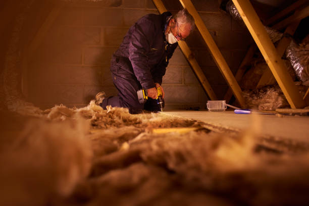 Best Geographic-Specific Insulation Services in Michigan City, IN